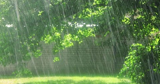 Dự báo thời tiết 29/4/2022: Cả nước mưa rào và dông vài nơi