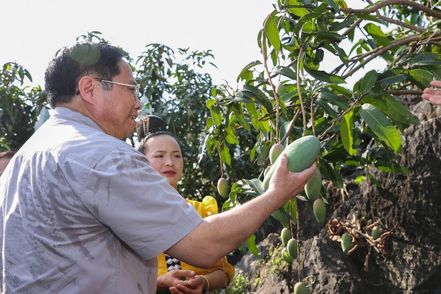 dua son la som tro thanh mot dong luc tang truong cua khu vuc tay bac hinh 3