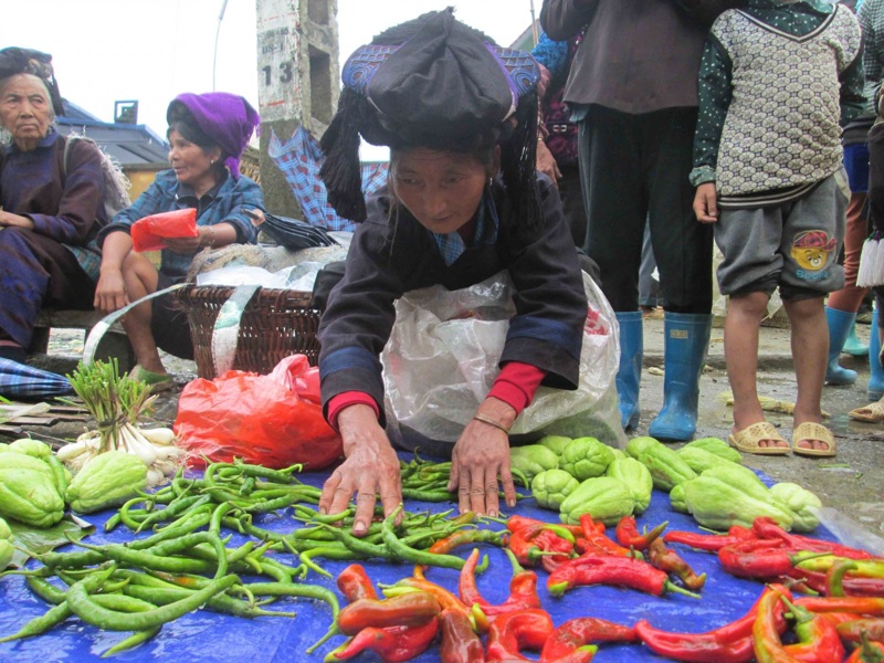 sac mau cho phien vung cao lai chau hinh 1