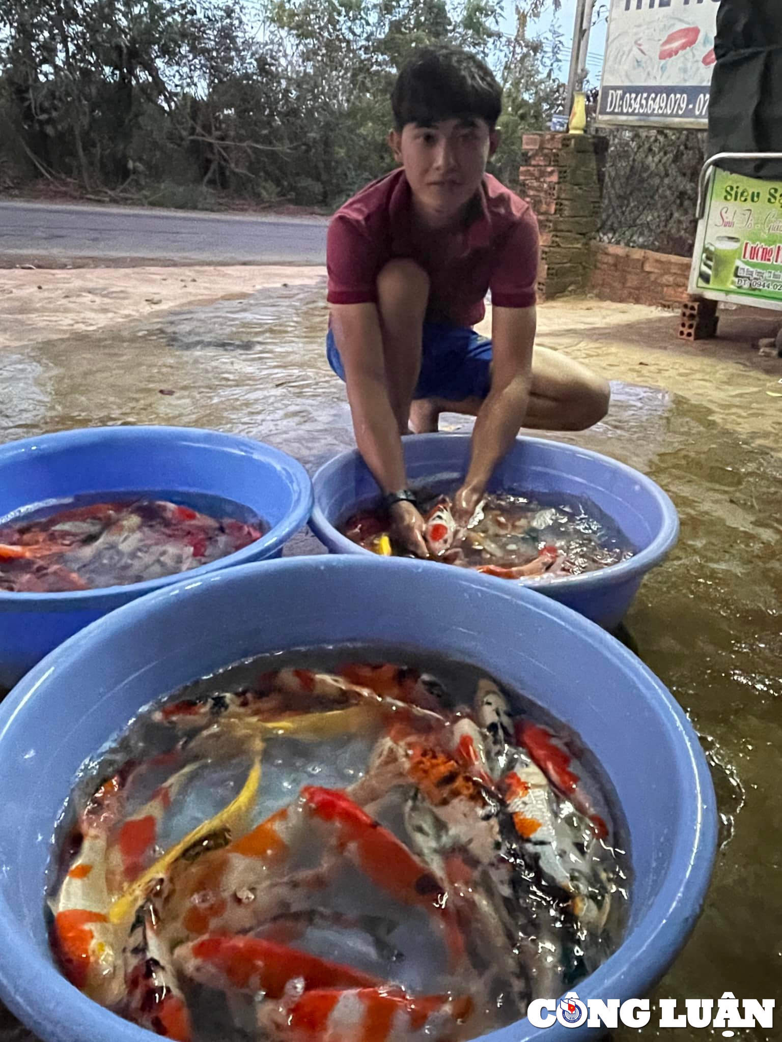 tu tho sua xe chang trai 9x doi doi nho nuoi ca koi thu nhap hang ti dong hinh 2