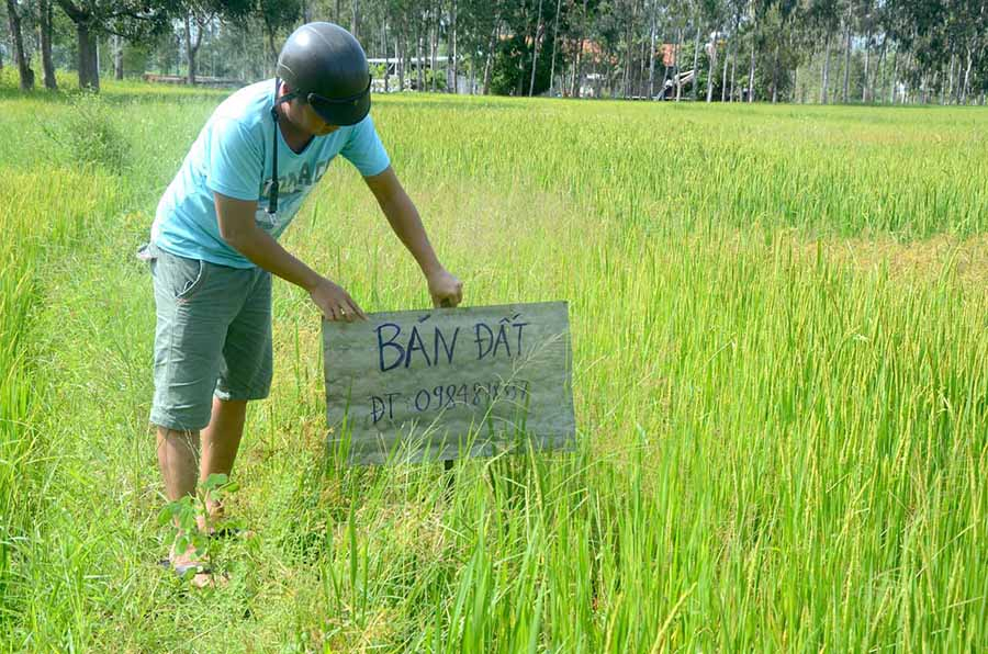 de xuat bien phap ngan chan tinh trang sot dat nong nghiep hinh 1