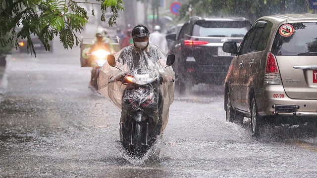 du bao thoi tiet 24 8 ha noi va ca nuoc toi mua rao dong rai rac hinh 1