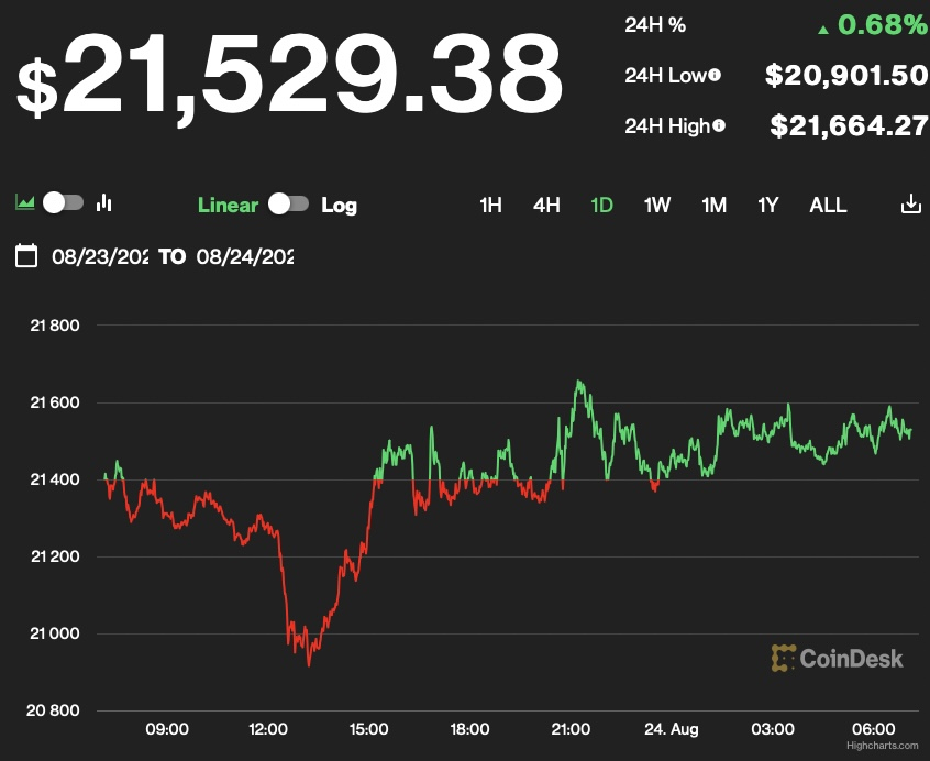 gia bitcoin hom nay 24 8 tang nhe quanh 21500 usd hinh 1