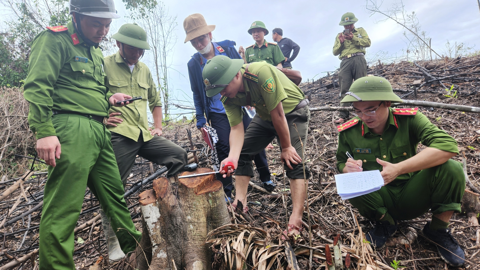 khan truong kiem tra xac minh vu rung tu nhien bi xam hai o ha tinh hinh 1