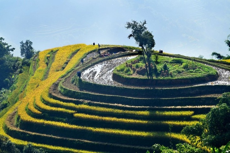 ngo ngang ve dep ruong bac thang ban phung hinh 2