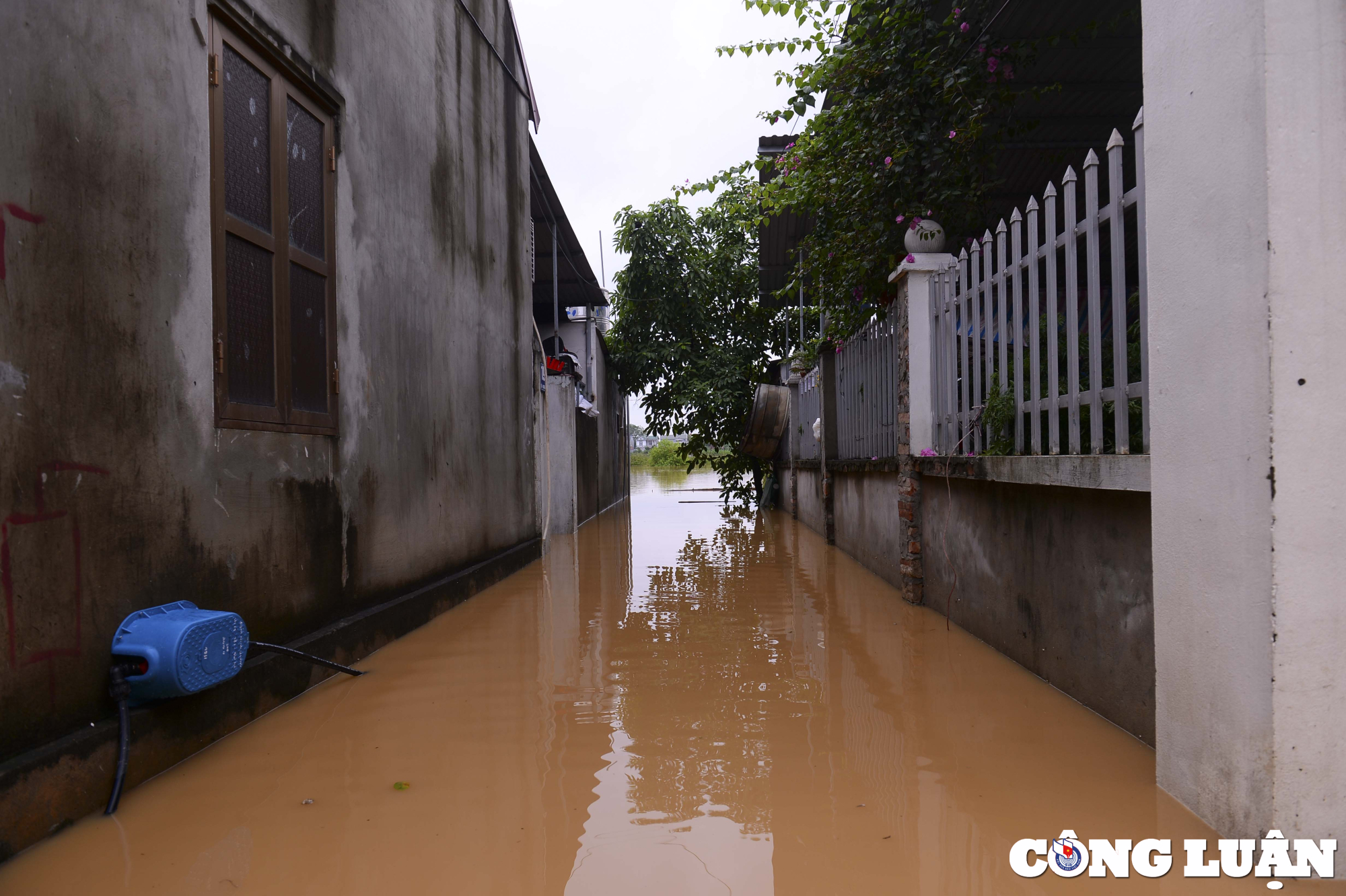 ha noi mua lon nuoc lu do ve khien nhieu khu vuc huyen chuong my ngap sau hinh 5