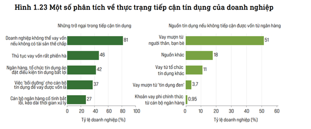 du room tin dung duoc noi nhung doanh nghiep van gap kho trong viec tiep can dau la nguyen do hinh 2