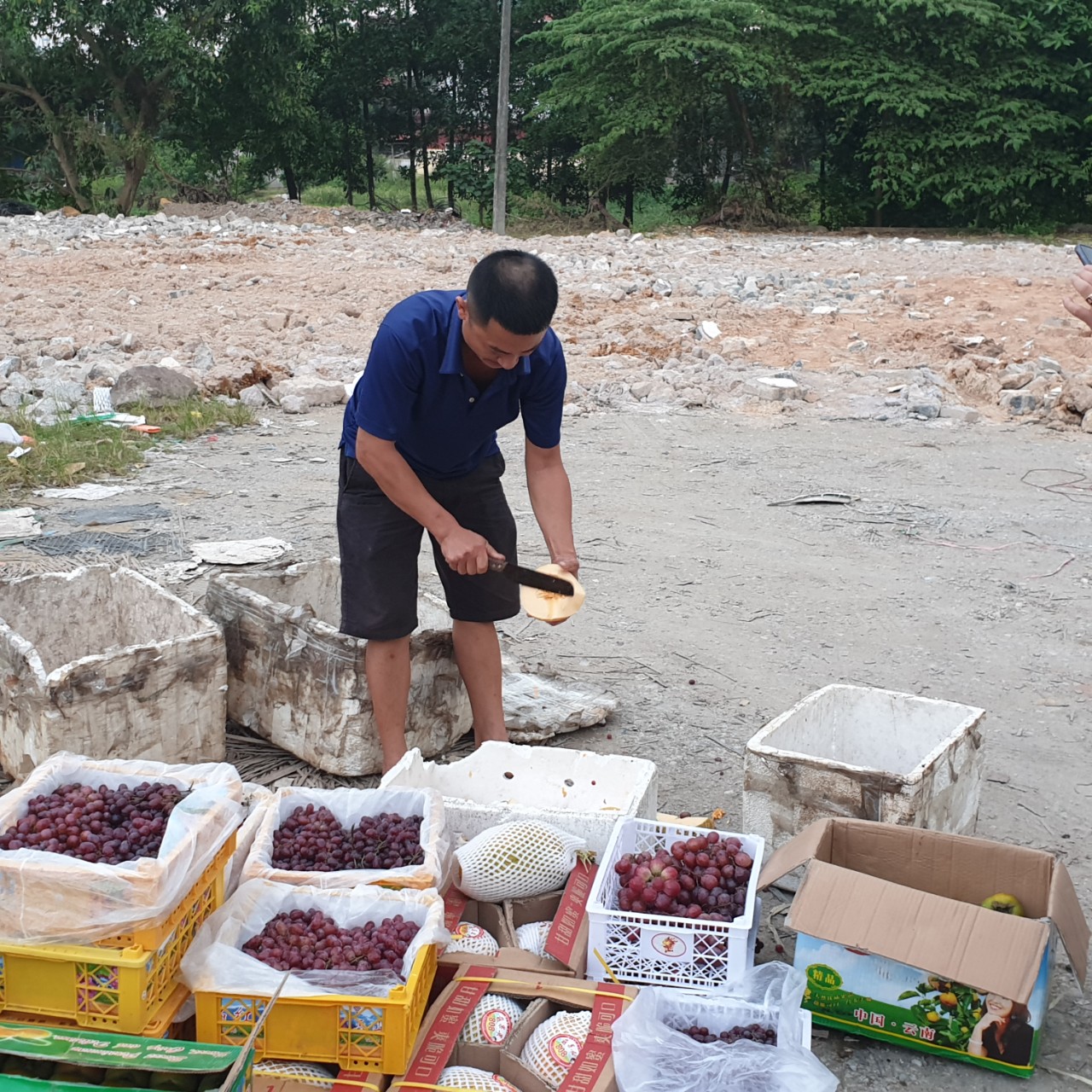 thai nguyen tieu huy 2 tan trai cay khong ro nguon goc xuat xu hinh 3