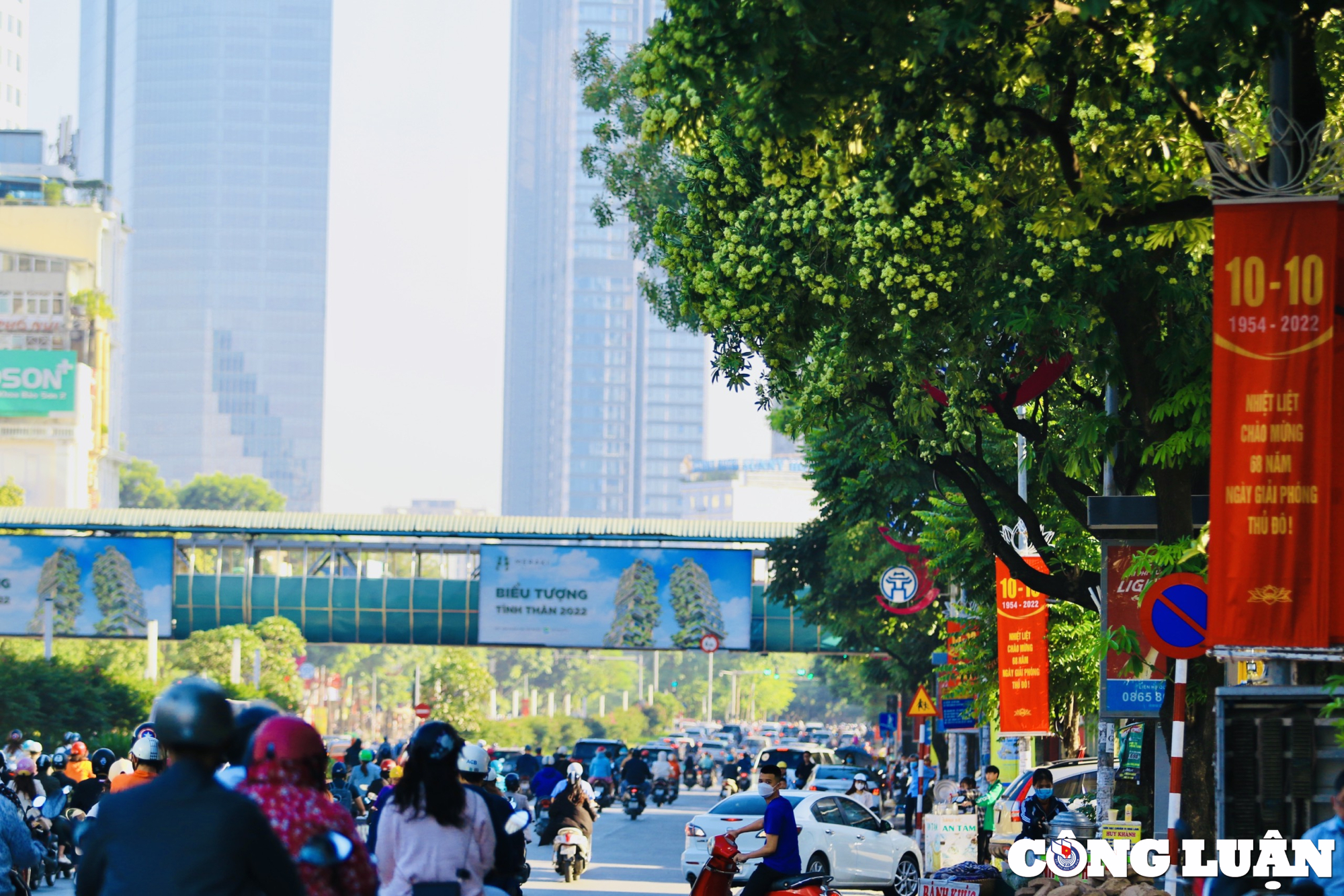 hoa sua dua nhau toa huong duoi troi mua thu ha noi hinh 2