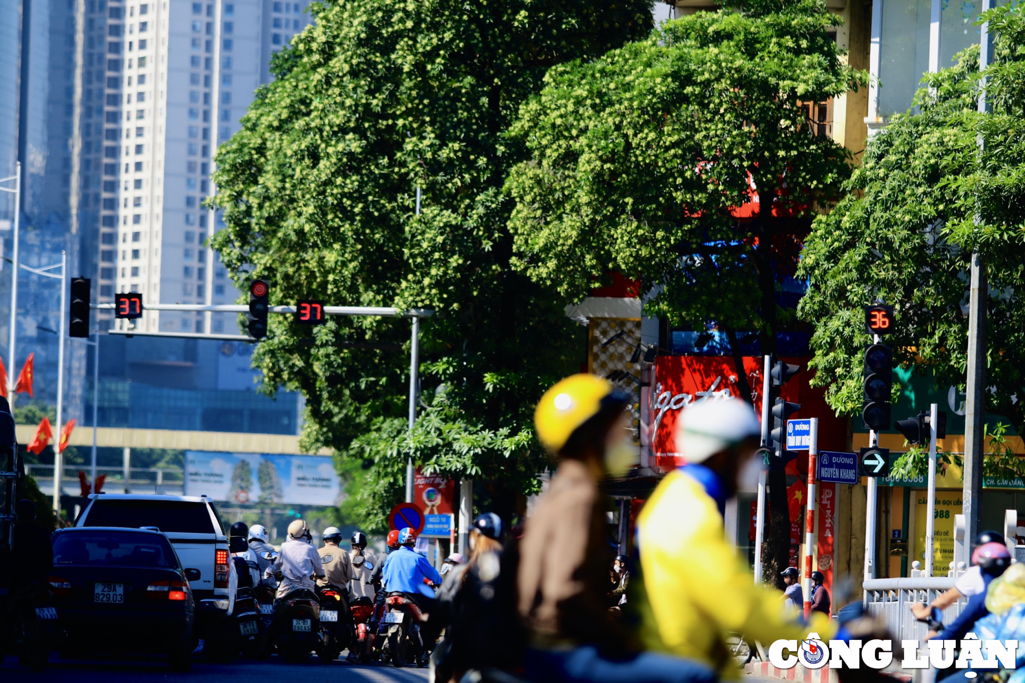 hoa sua dua nhau toa huong duoi troi mua thu ha noi hinh 5