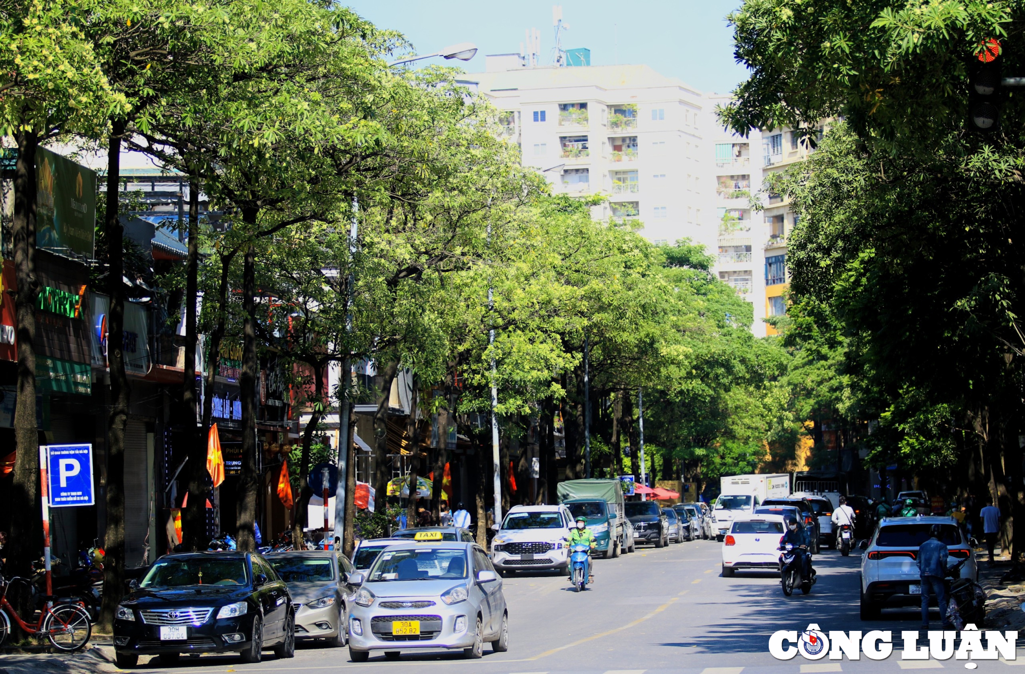 hoa sua dua nhau toa huong duoi troi mua thu ha noi hinh 7