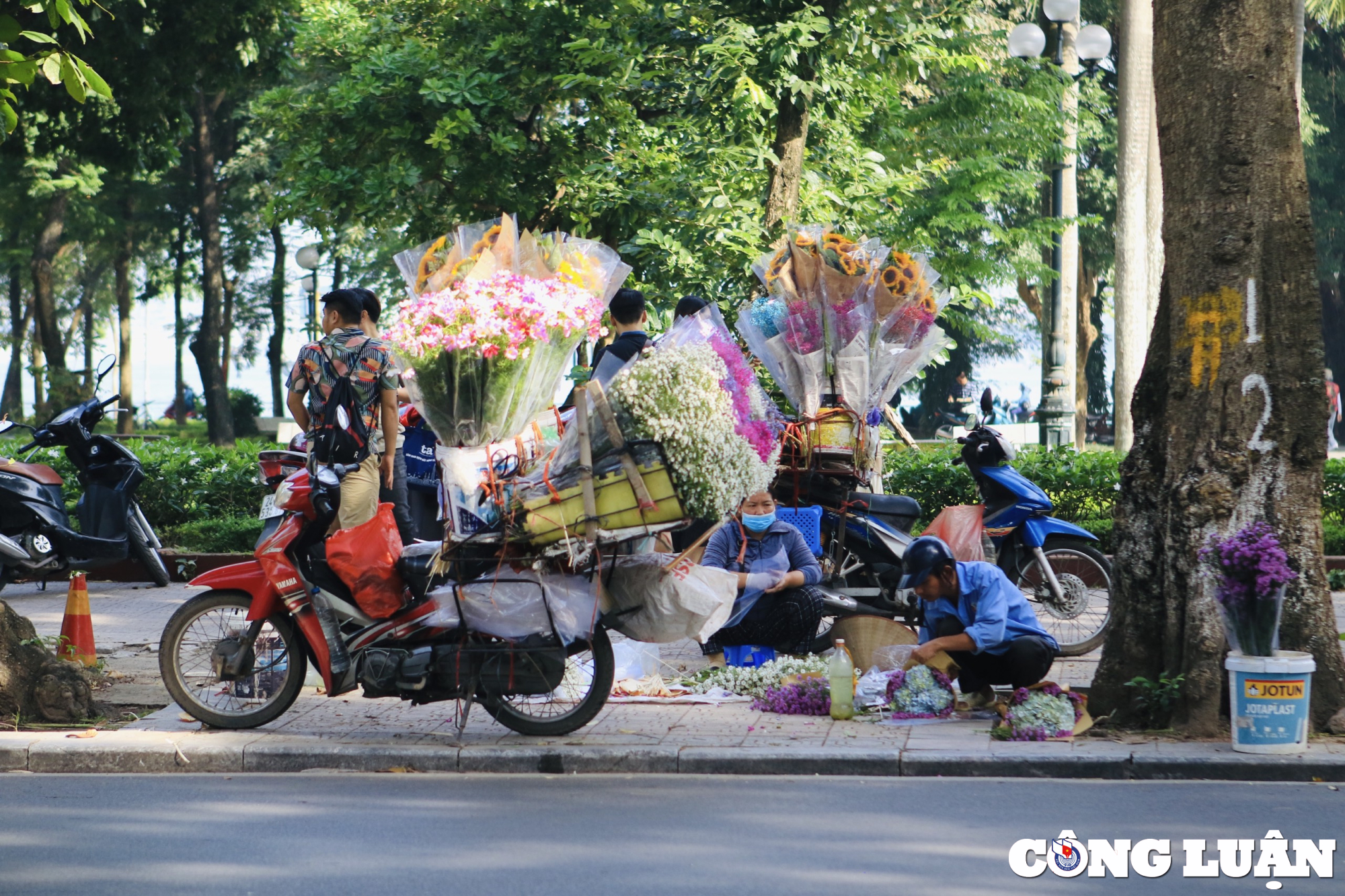 say dam truoc ve dep hoa thach thao duoi tiet troi mua thu ha noi hinh 4