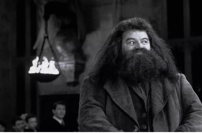 robbie coltrane trong phim harry potter qua doi hinh 3