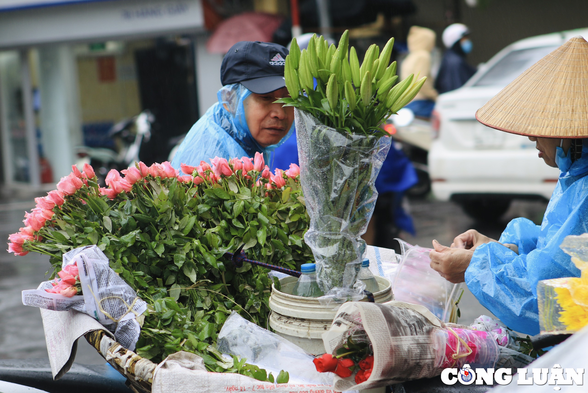 nhung hinh anh dep trong ngay phu nu viet nam 20 10 hinh 5