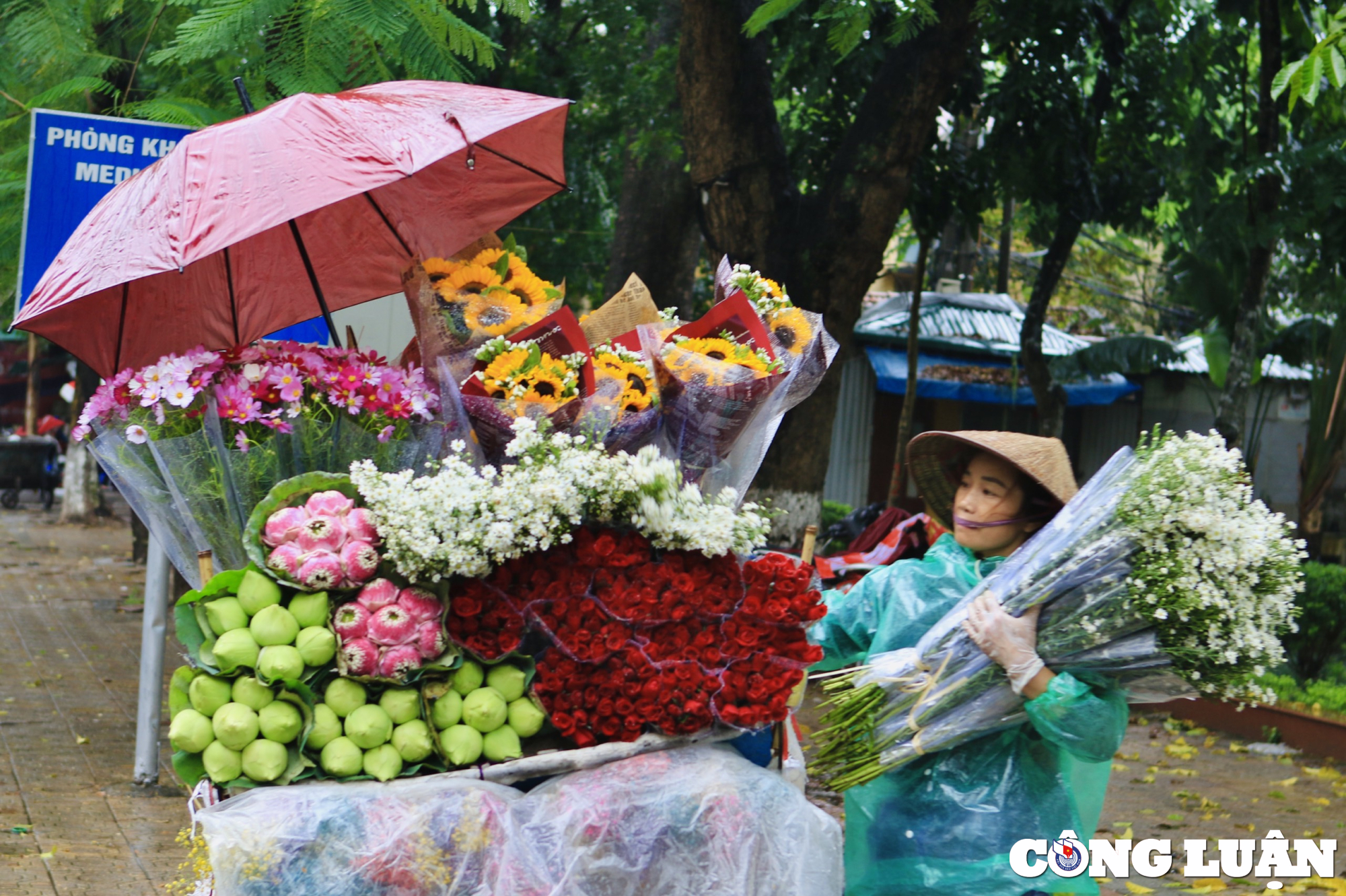 nhung hinh anh dep trong ngay phu nu viet nam 20 10 hinh 2