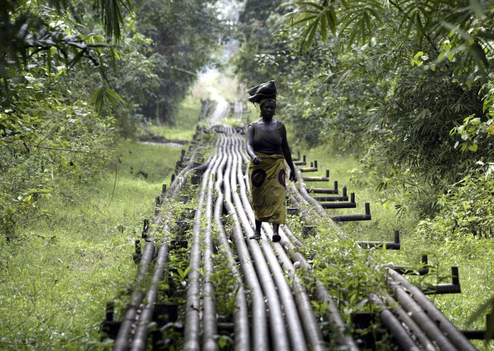 nigeria khong the xuat khau khi dot hoa long cho chau au hinh 2