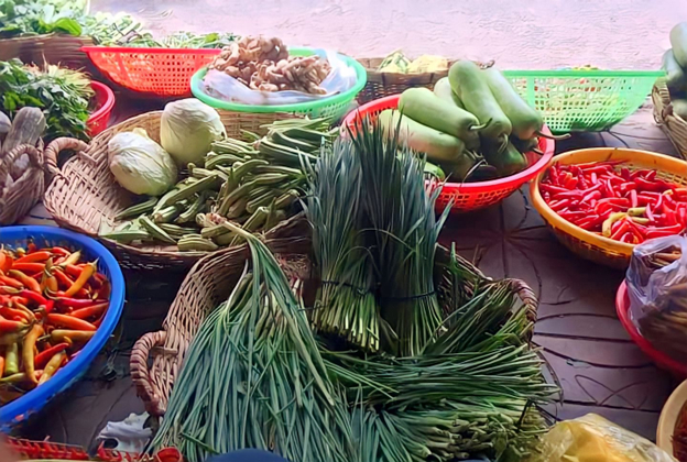 gia hanh la tai cac tinh nghe an ha tinh tang cao ky luc hinh 1