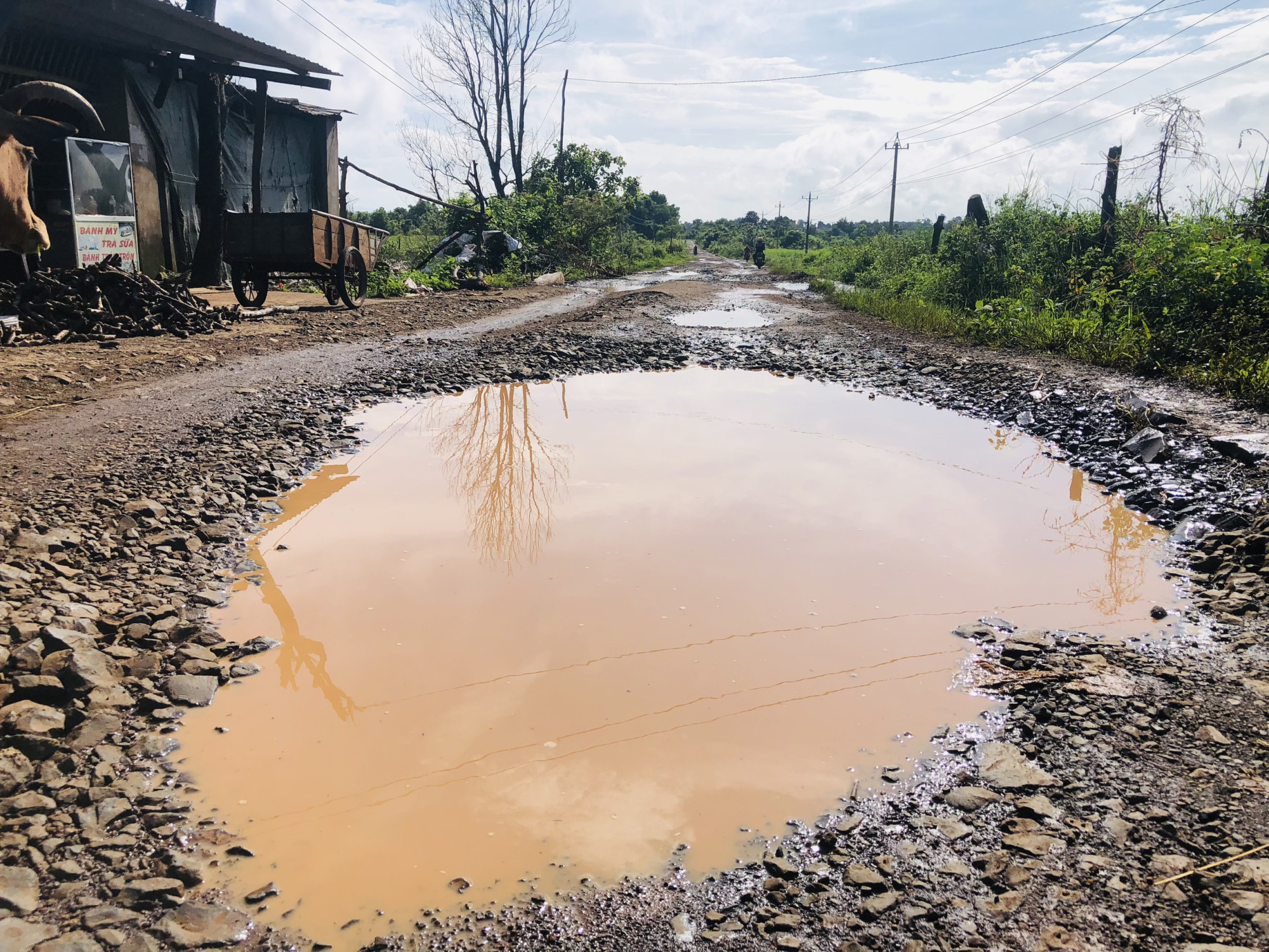 gia lai xe cho cat cay nat duong lien xa dan khon kho luon lach tranh ho nuoc sau hinh 1