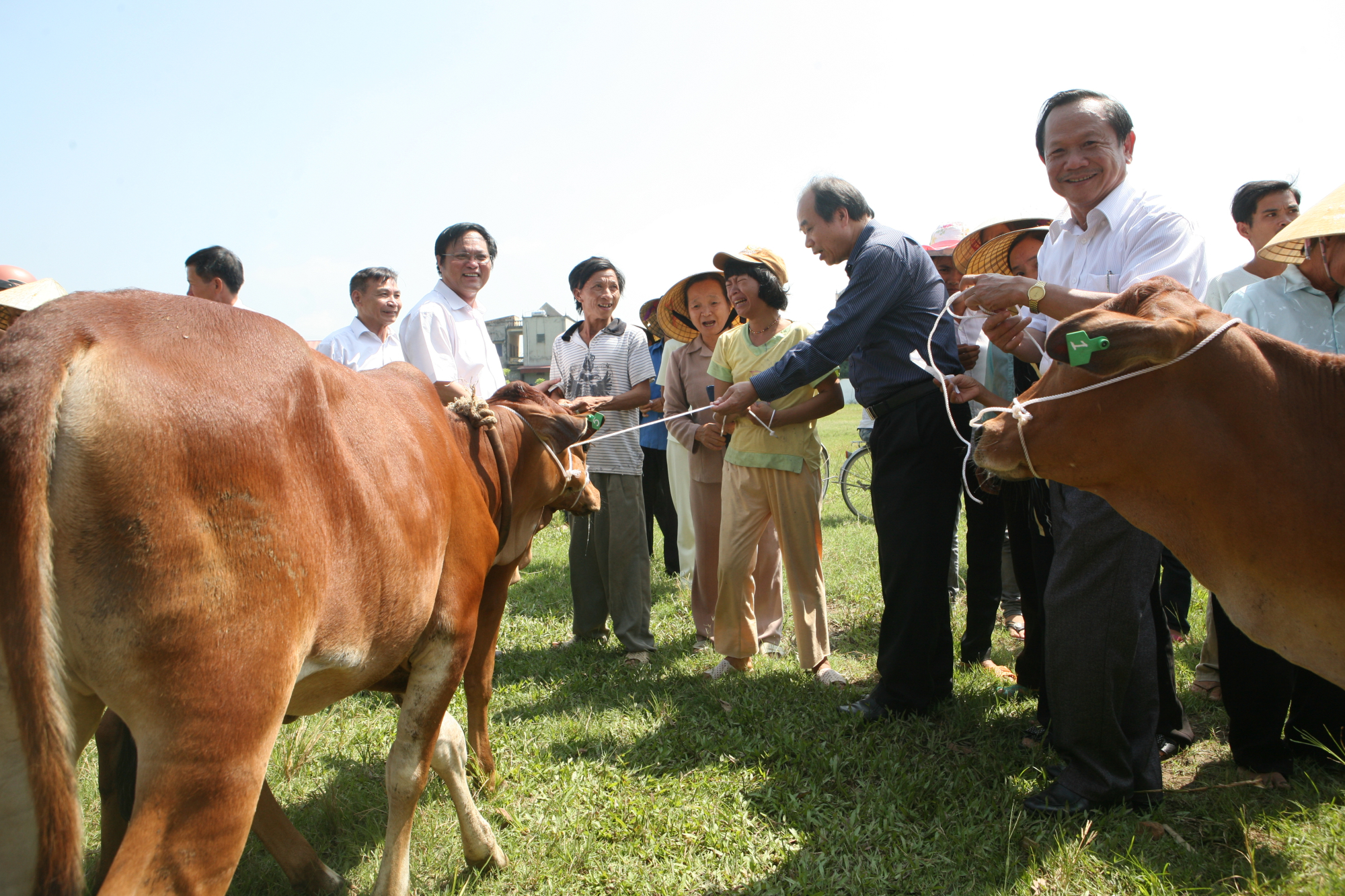 khoi dong giai chay bo truc tuyen uprace mua 5 gay quy vi cong dong hinh 3