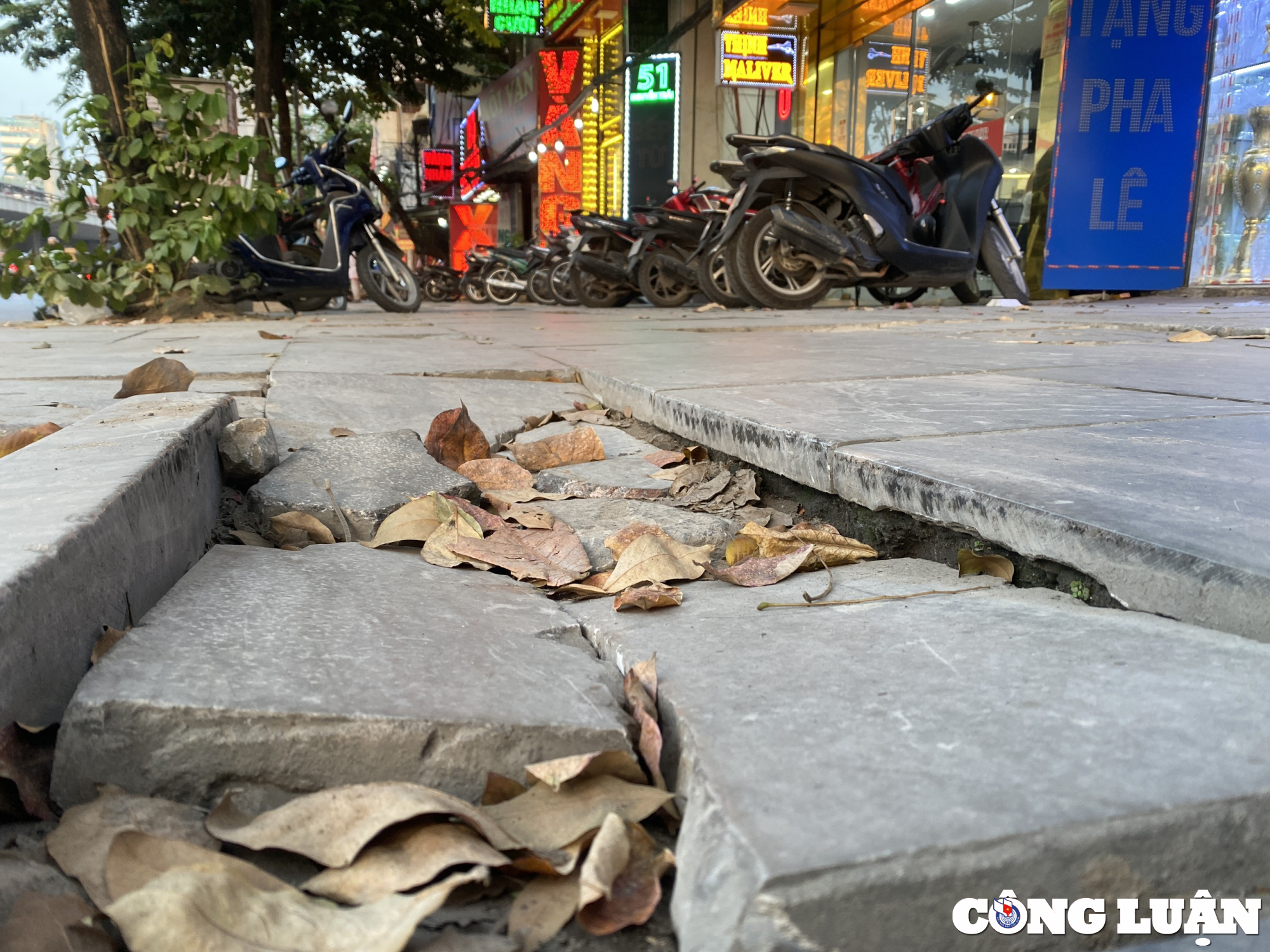 via he ha noi lat da co do ben 70 nam xuong cap tram trong nat buom hinh 3