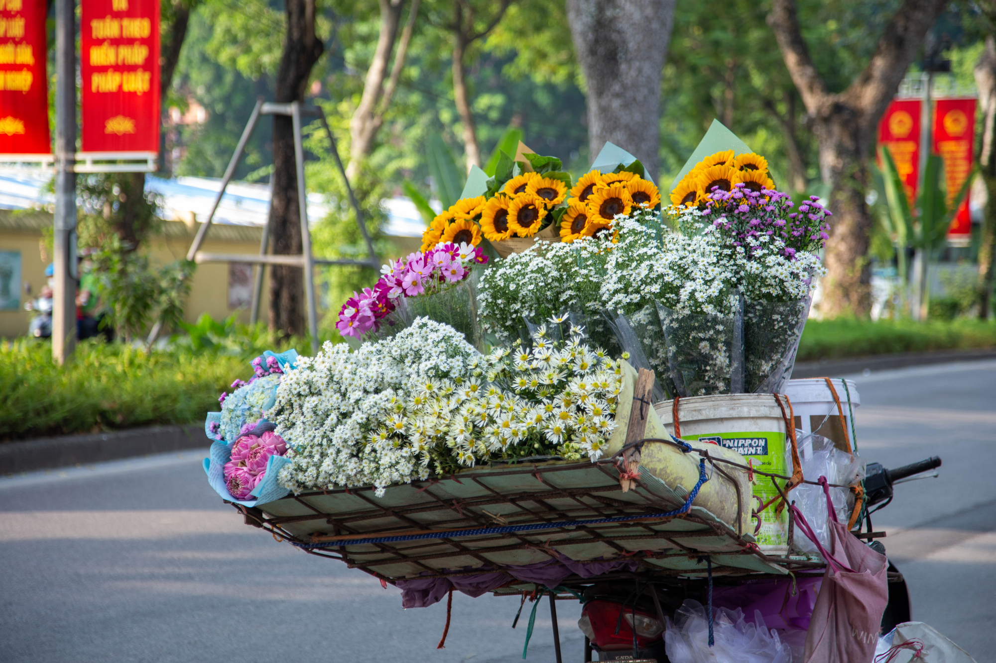 Bó Hoa Cúc Họa Mi Đep Nhất ! Shop hoa Hanoi Florist - Họahanoi.com.vn
