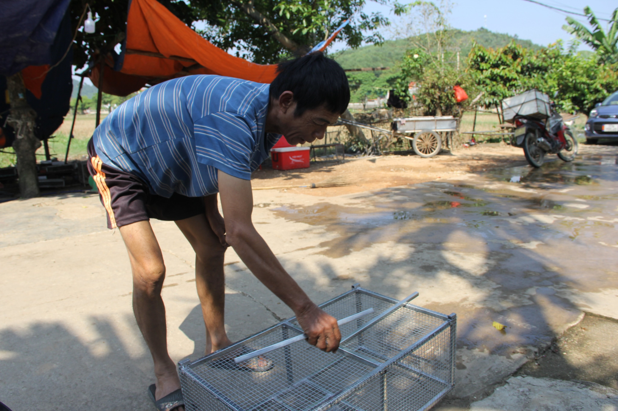 thu vi nghe san loai vat chuyen pha hoai mua mang hinh 1