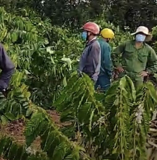 dang dieu tra vu chong nguoi thi hanh cong vu va bat giu nguoi trai luat tai krong pak hinh 1