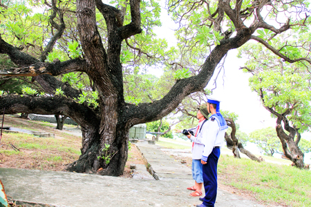 nguyen hong vinh suy ngam ve hanh phuc rieng  chung hinh 5