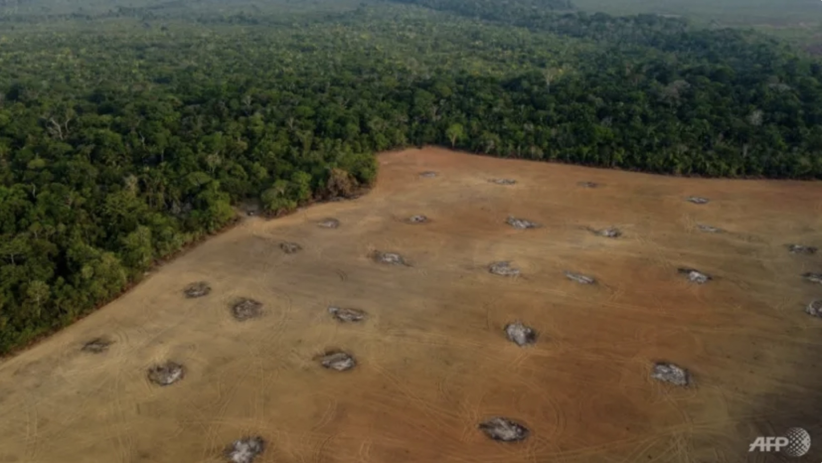 Brazil lập kỷ lục phá rừng Amazon mới trong tháng 10