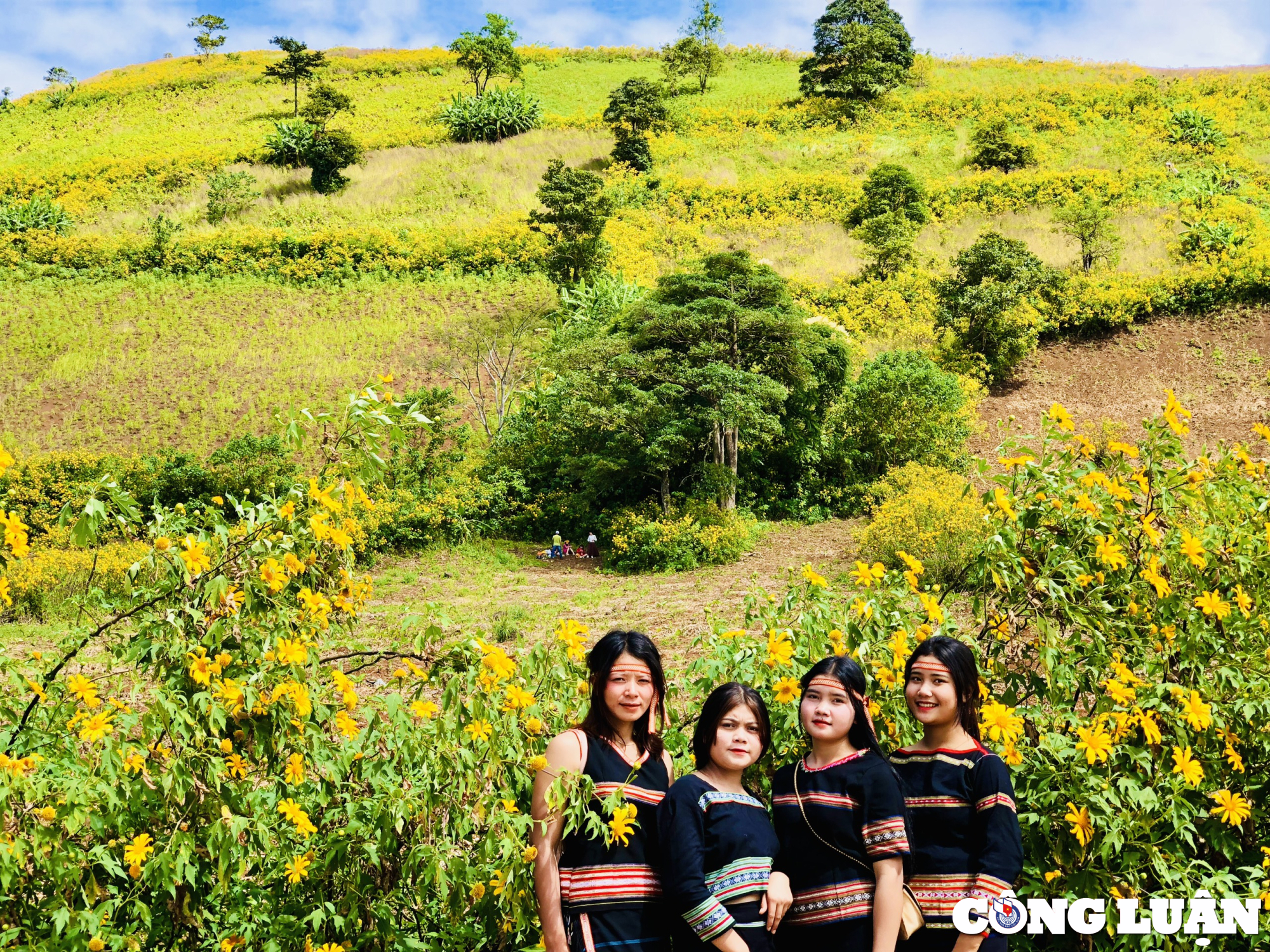 gia lai hoa da quy nhuom vang nui lua chu dang ya hinh 3