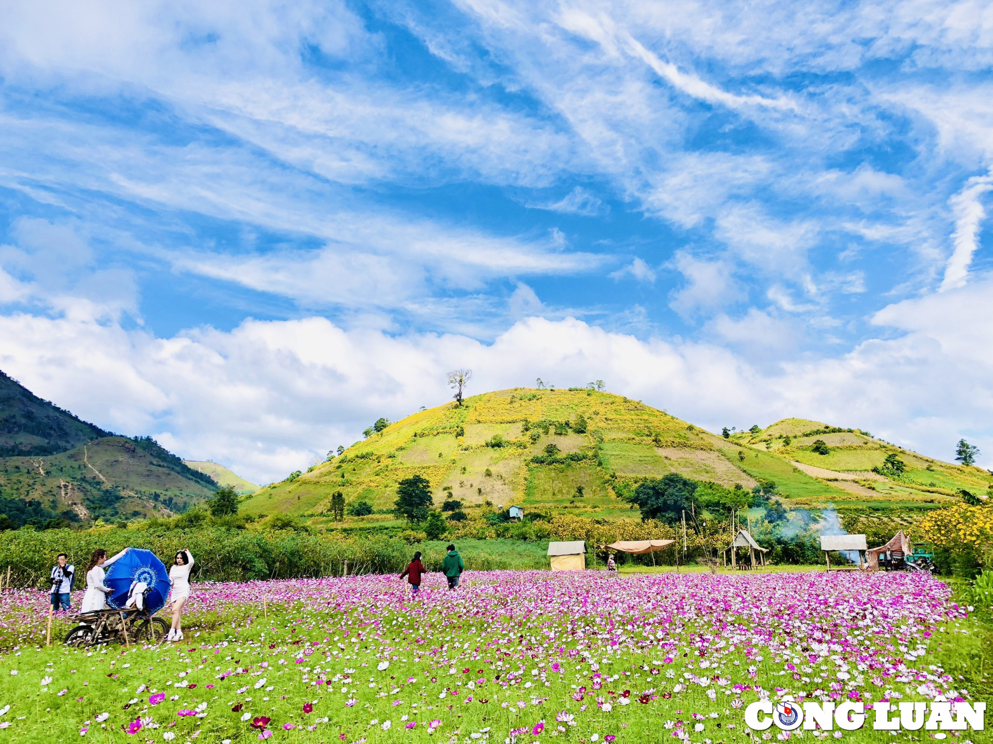 gia lai hoa da quy nhuom vang nui lua chu dang ya hinh 9