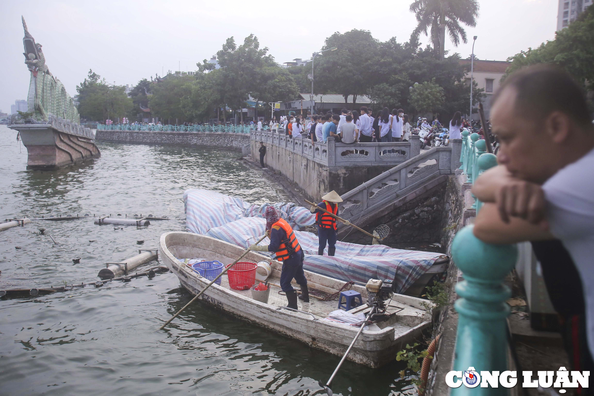 ha noi ca chet boc mui hoi thoi ca no duoc huy dong vot xac ca o ho tay hinh 4