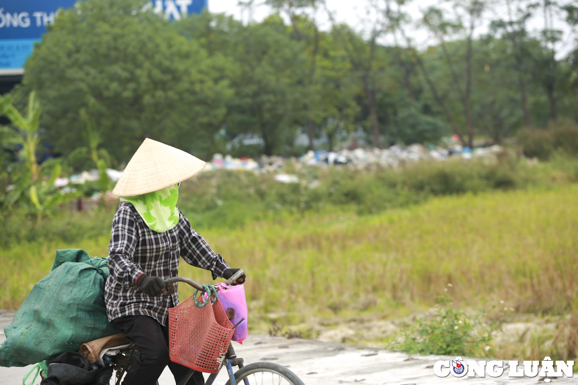 nguoi dan o thanh oai ha noi khon kho vi rac thai un u boc mui hoi thoi hinh 7