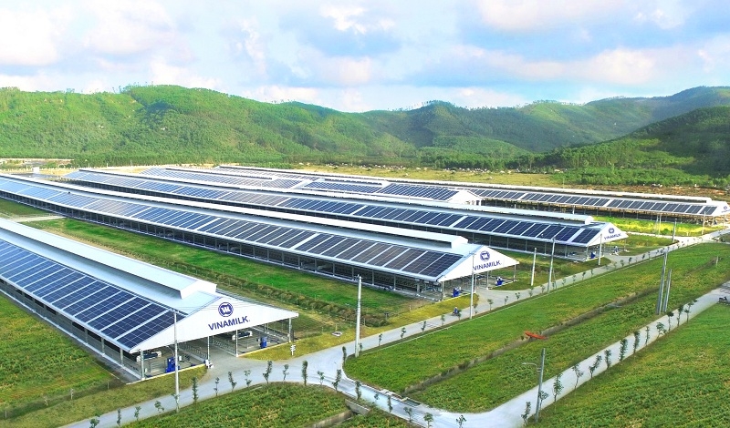 vinamilk tiep tuc trong cay huong den muc tieu net zero 2050 hinh 7