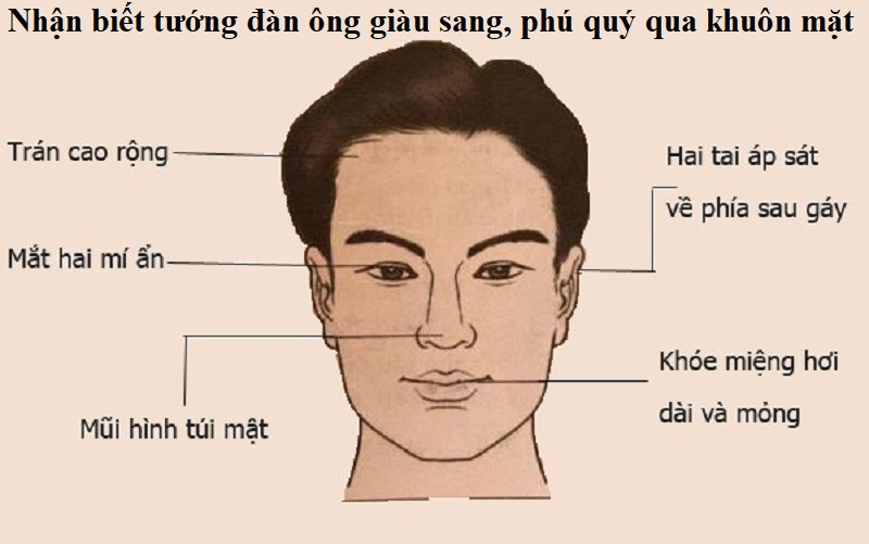 tuong mao dan ong thanh dat giau co hinh 1