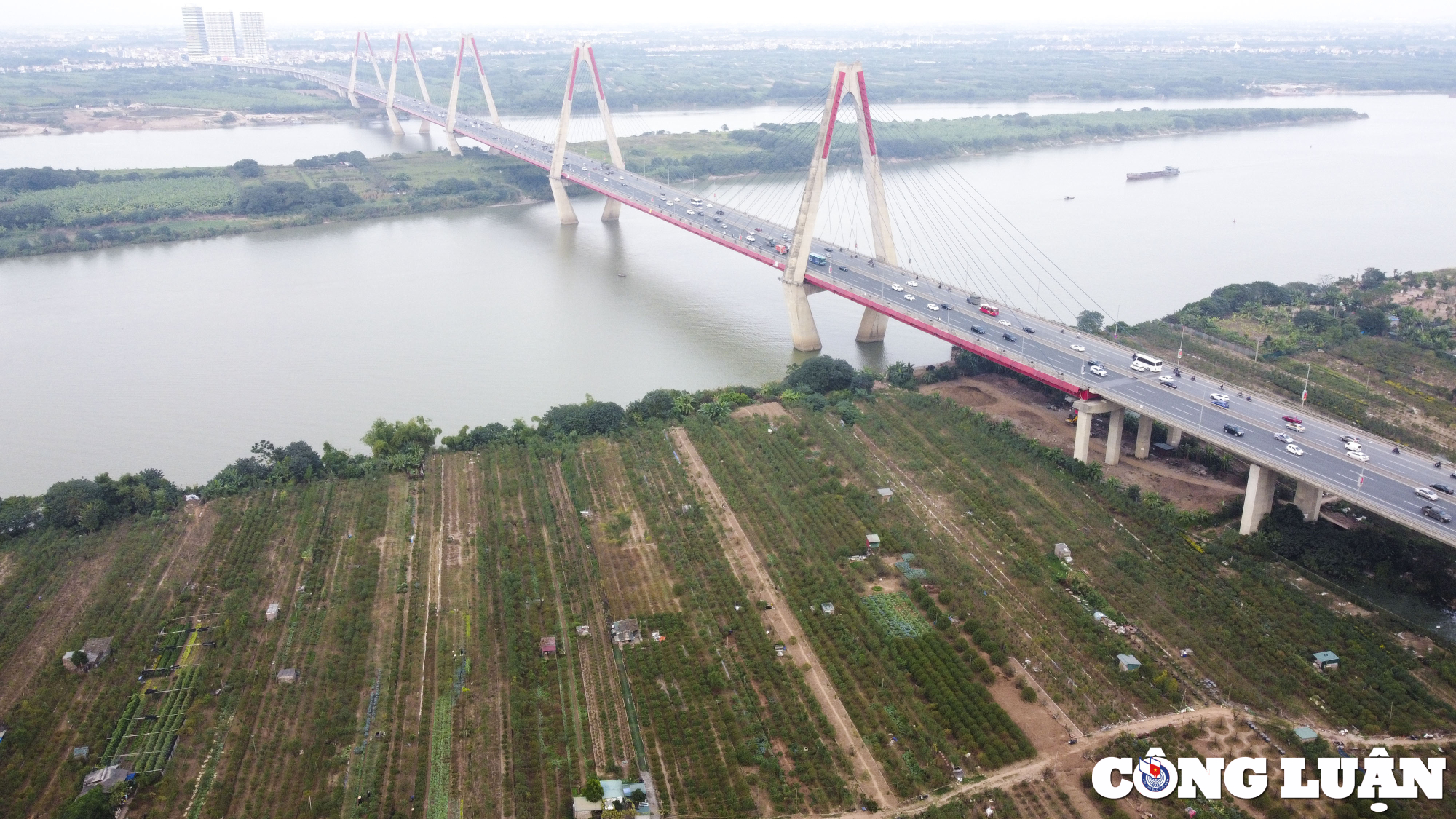 ha noi lang dao nhat tan hoi ha tuot la chuan bi don tet nguyen dan hinh 12