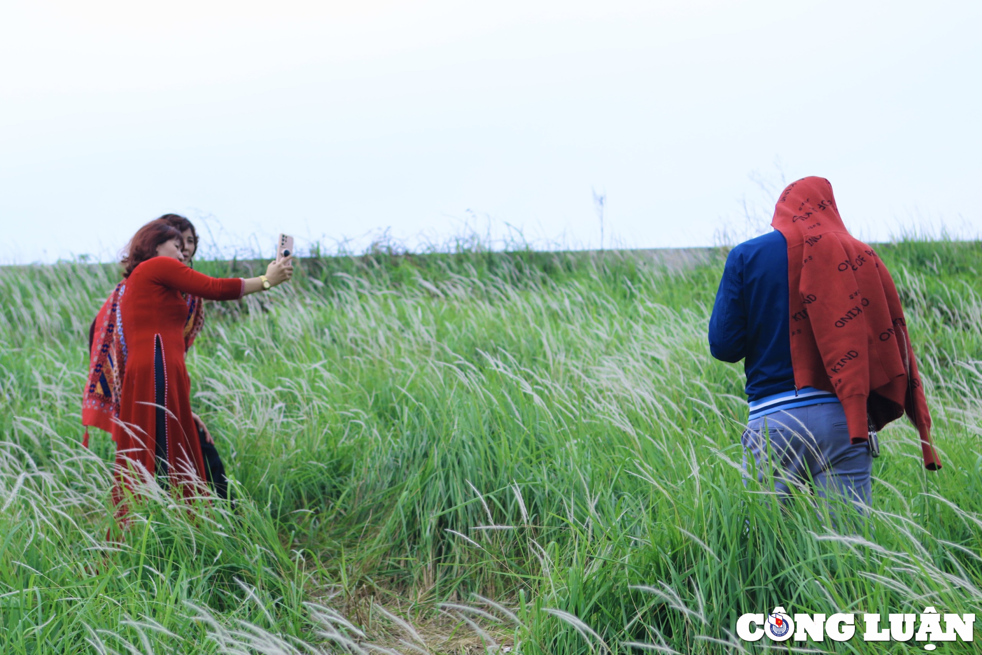 hang ngan bong co tranh dua nhau khoe sac tai trien de long bien hinh 8