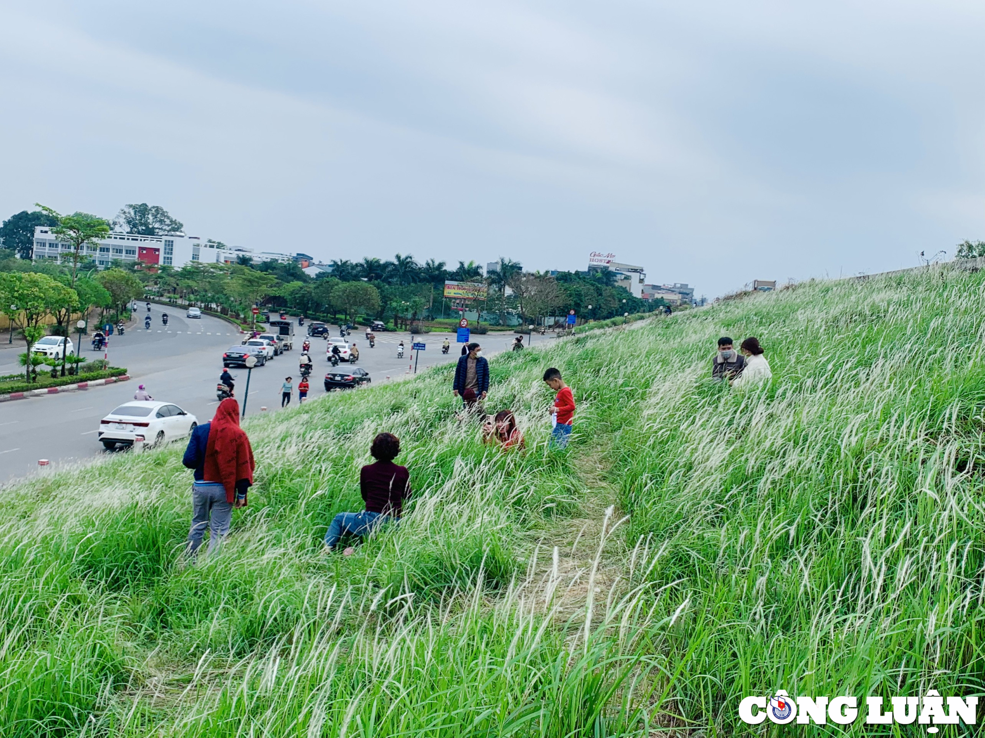 hang ngan bong co tranh dua nhau khoe sac tai trien de long bien hinh 1