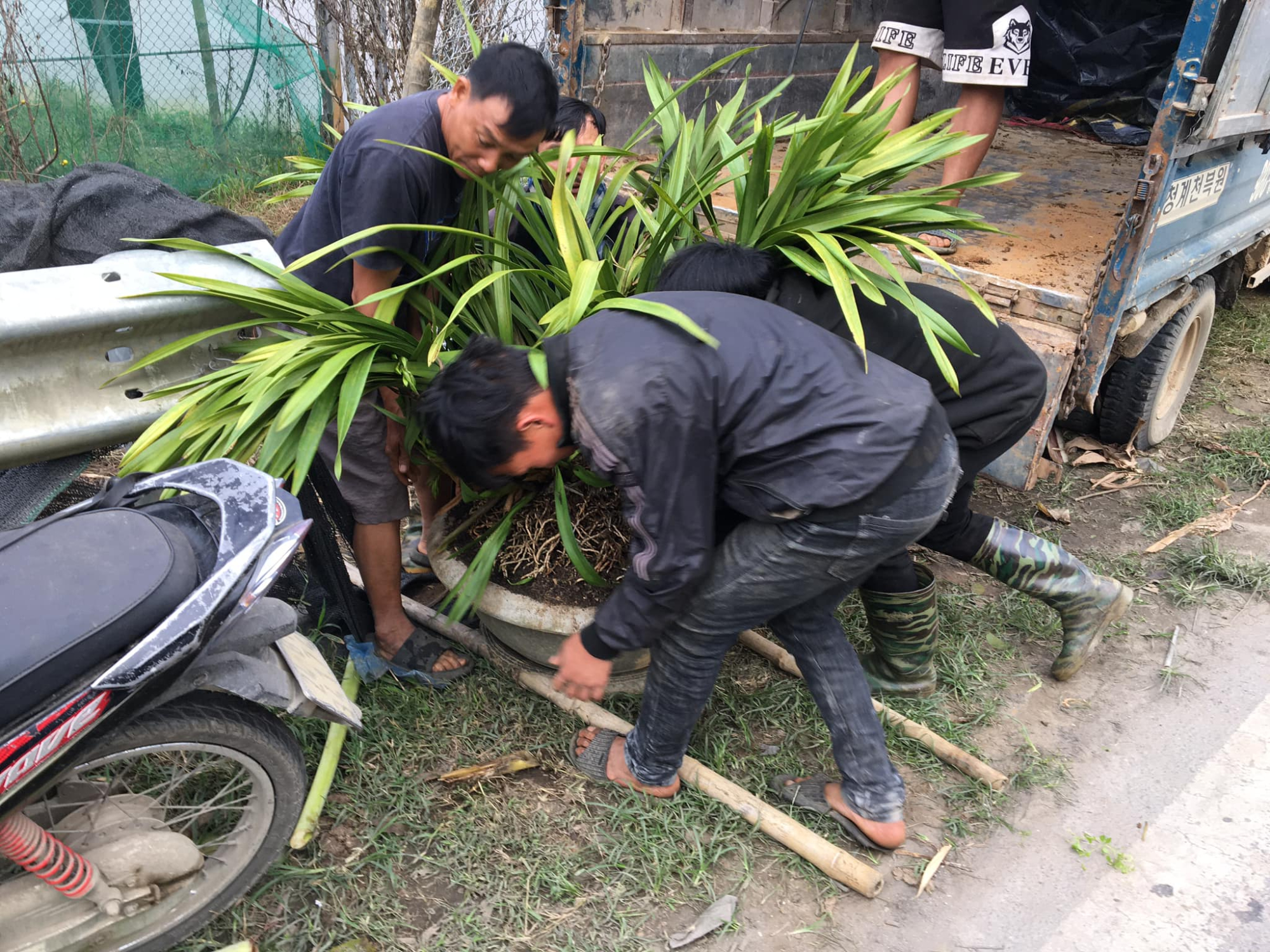 sa pa dua hang ngan chau hoa lan tet tien trieu xuong nui tranh ret hinh 2