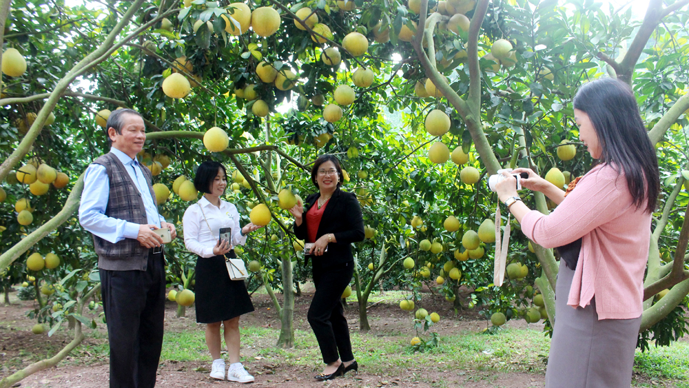 bac giang thuc day phat trien du lich o thu phu trai cay mien bac hinh 1