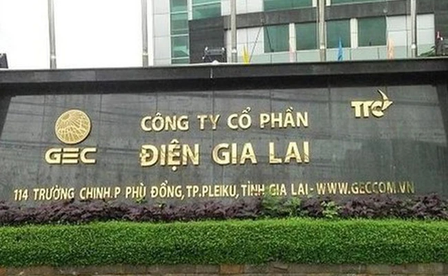 dien gia lai no phai tra chiem gan 70 co cau nguon von bi phat va truy thu thue 215 trieu dong hinh 1