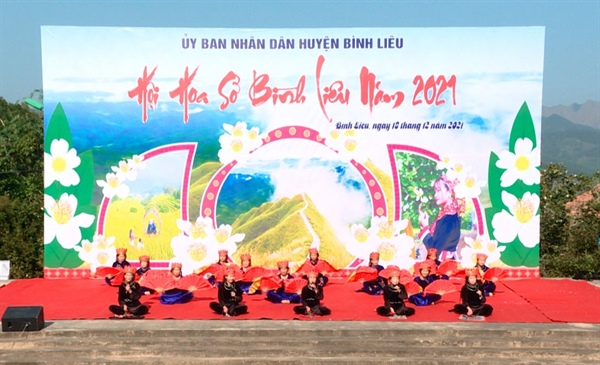 binh lieu quang ninh to chuc hoi hoa so nam 2022 voi nhieu su kien dac sac hinh 1