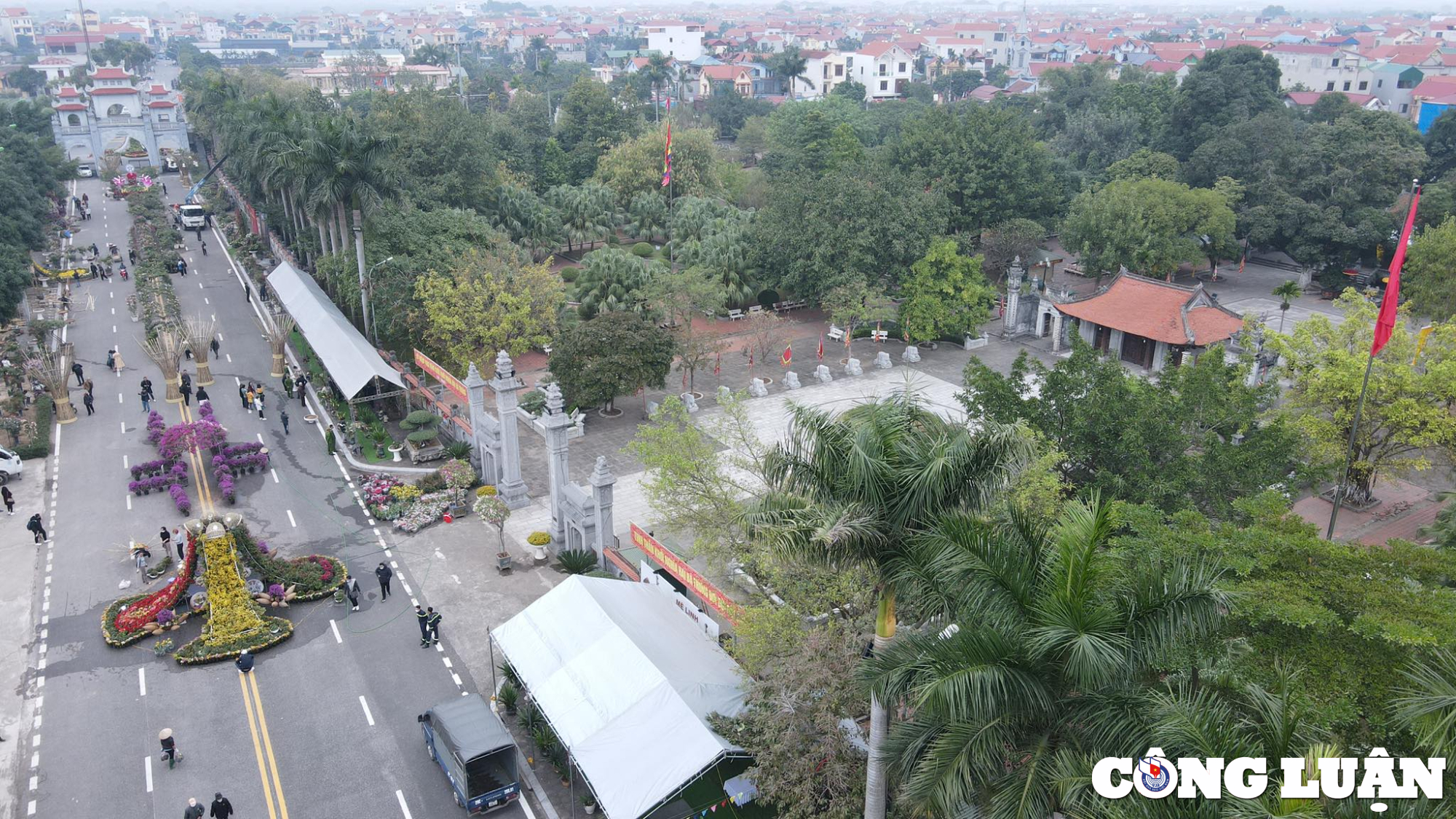 ha noi lang hoa me linh tat bat chuan bi cho festival hoa dau tien hinh 1