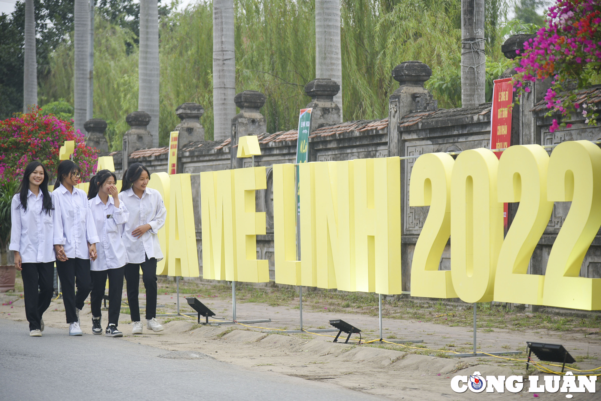 ha noi lang hoa me linh tat bat chuan bi cho festival hoa dau tien hinh 2