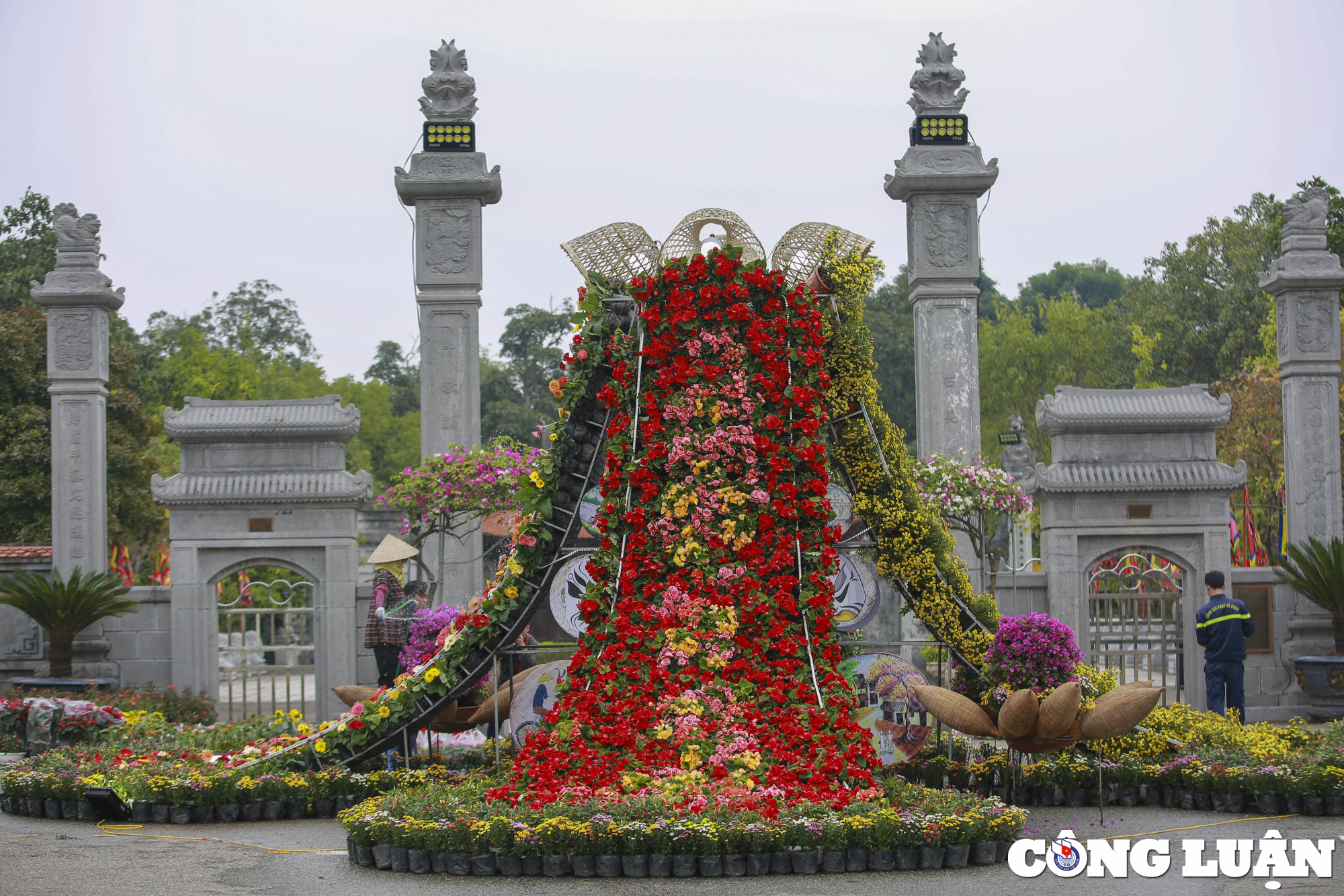 ha noi lang hoa me linh tat bat chuan bi cho festival hoa dau tien hinh 9