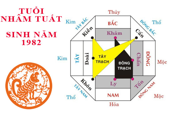 huong nha cho gia chu tuoi nham tuat 1982 hinh 1