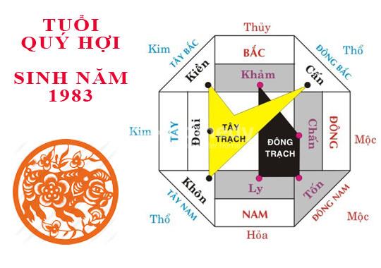 goi y huong nha phong thuy hop tuoi quy hoi 1983 hinh 1