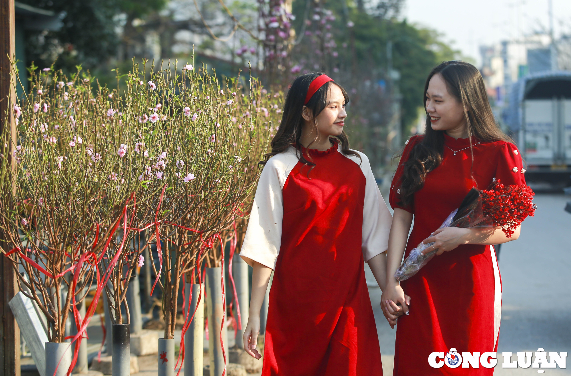 ha noi ngam nhin thieu nu ao dai check in cung hoa dao no som hinh 3