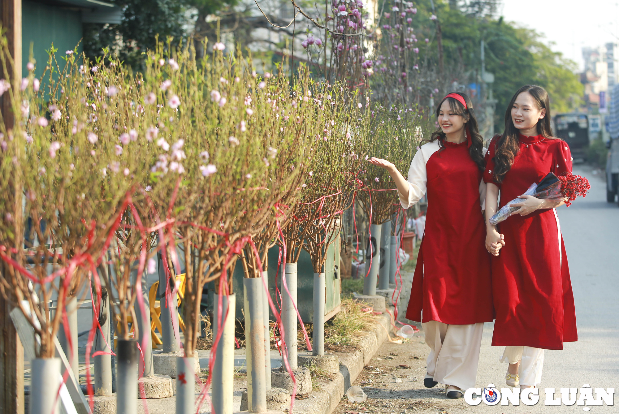 ha noi ngam nhin thieu nu ao dai check in cung hoa dao no som hinh 6