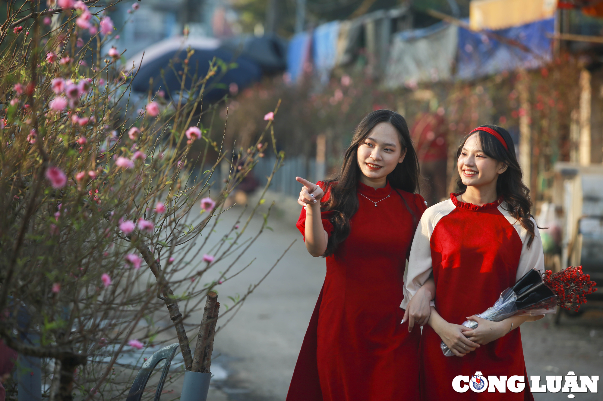 ha noi ngam nhin thieu nu ao dai check in cung hoa dao no som hinh 7